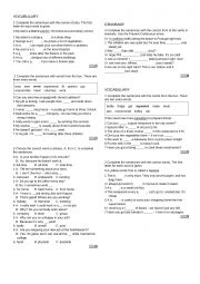 English Worksheet: Focus vocabulary and grammar