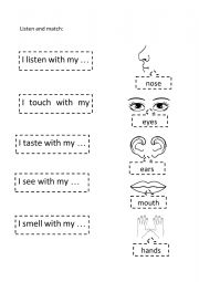 English Worksheet: Body parts