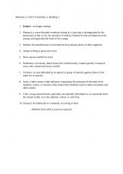 English Worksheet: Vocabulary