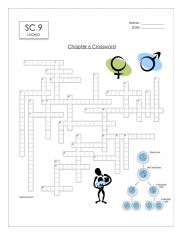 English Worksheet: Chapter 5 Crossword