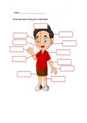 English Worksheet: Parts of the body