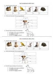 Vocabulary about pets