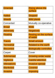 Vocabulary Matching- Advanced Level 