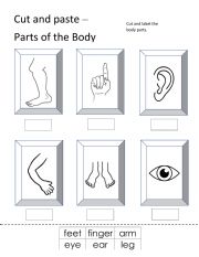 English Worksheet: Body parts cutting