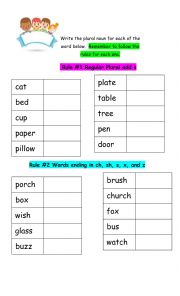 English Worksheet: Plurals rules