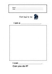 English worksheet: From head to toe_