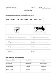 English Worksheet: INSECTS test