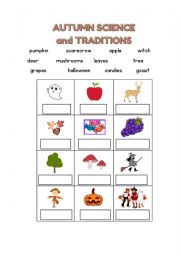 English Worksheet: Autumn vocabolary
