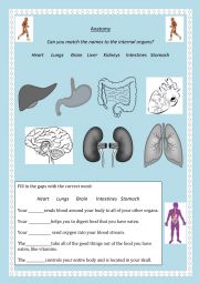 English Worksheet: body parts