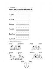 English Worksheet: nouns and plural forms