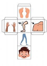 English Worksheet: parts of the body 