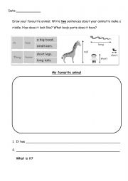 English Worksheet: Favourite Animal