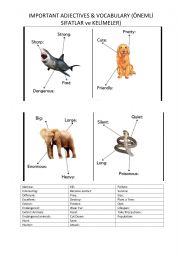 English Worksheet: Wild animals 