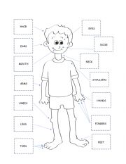 English Worksheet: parts of the body cut and match