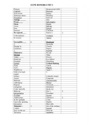 English Worksheet: ECPE HONORS UNIT 1 VOCABULARY 