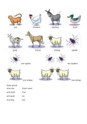 English Worksheet: Animals