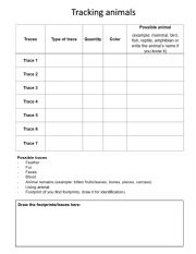 English Worksheet: Tracking animals