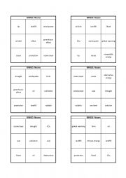 ENVIRONMENT Bingo (nouns)