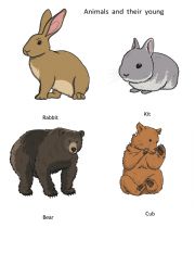 English Worksheet: Animals and their young 