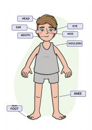 English Worksheet: Body parts for children