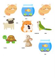 English Worksheet: PETS