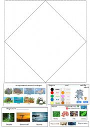 English Worksheet: Animals in danger - cutout