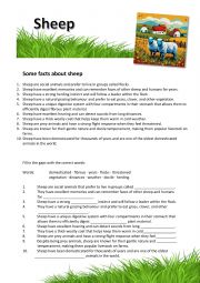 Sheep - Farm Animals - ESL worksheet by madulein
