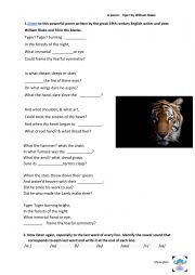 English Worksheet: A poem: Tiger by William Blake