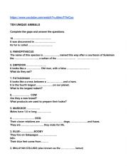 English Worksheet: Strange Animals