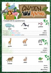 English Worksheet: comparative form / animals