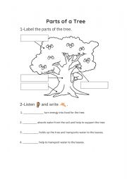 English Worksheet: Parts of the tree