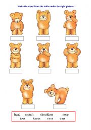 English Worksheet: Teddy Bear - body parts