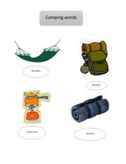 English Worksheet: camping words