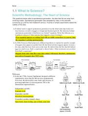 English Worksheet: What Is Science?