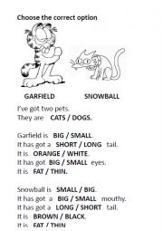 English Worksheet: PETS AND PARTS OF THE BODY