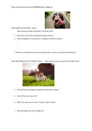 English Worksheet: how smaer is your dog