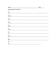 English Worksheet: Animal names