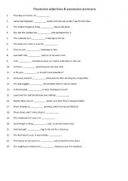 Possessive adjectives & possessive pronouns 1