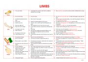 English Worksheet: Limbs Idioms