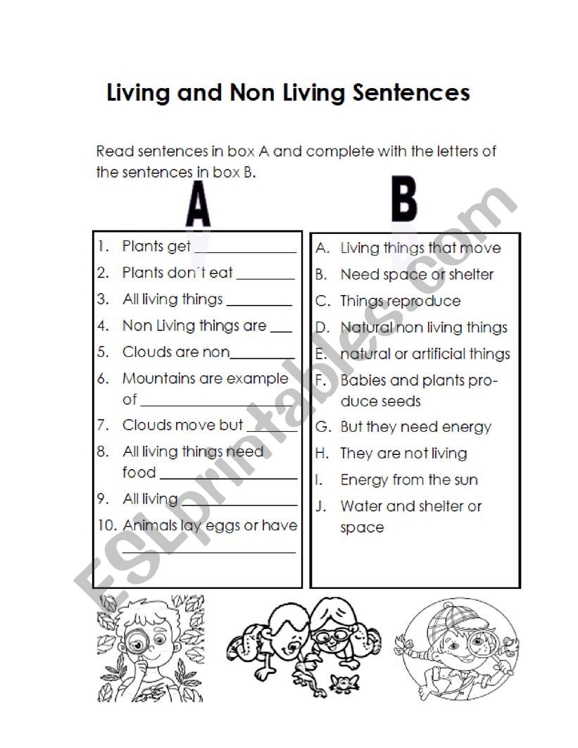 Living beings  worksheet