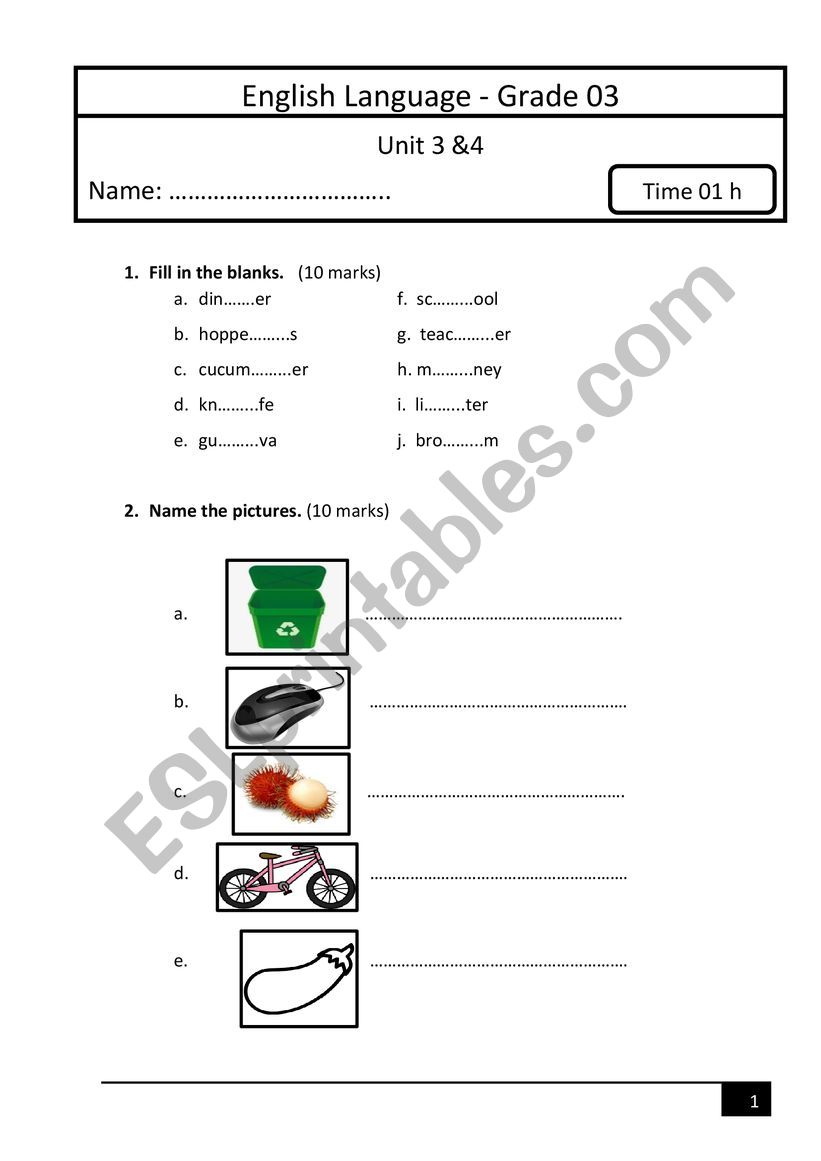 model test worksheet