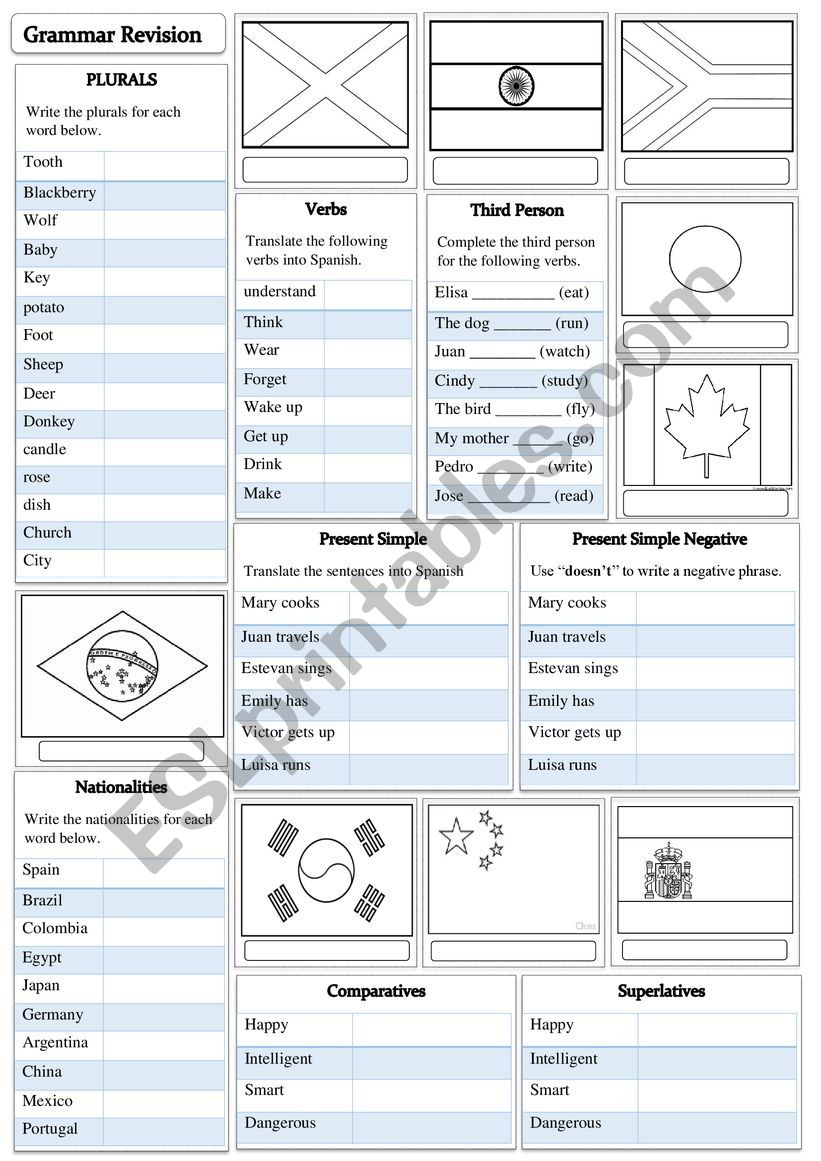 Grammar revision and flags worksheet