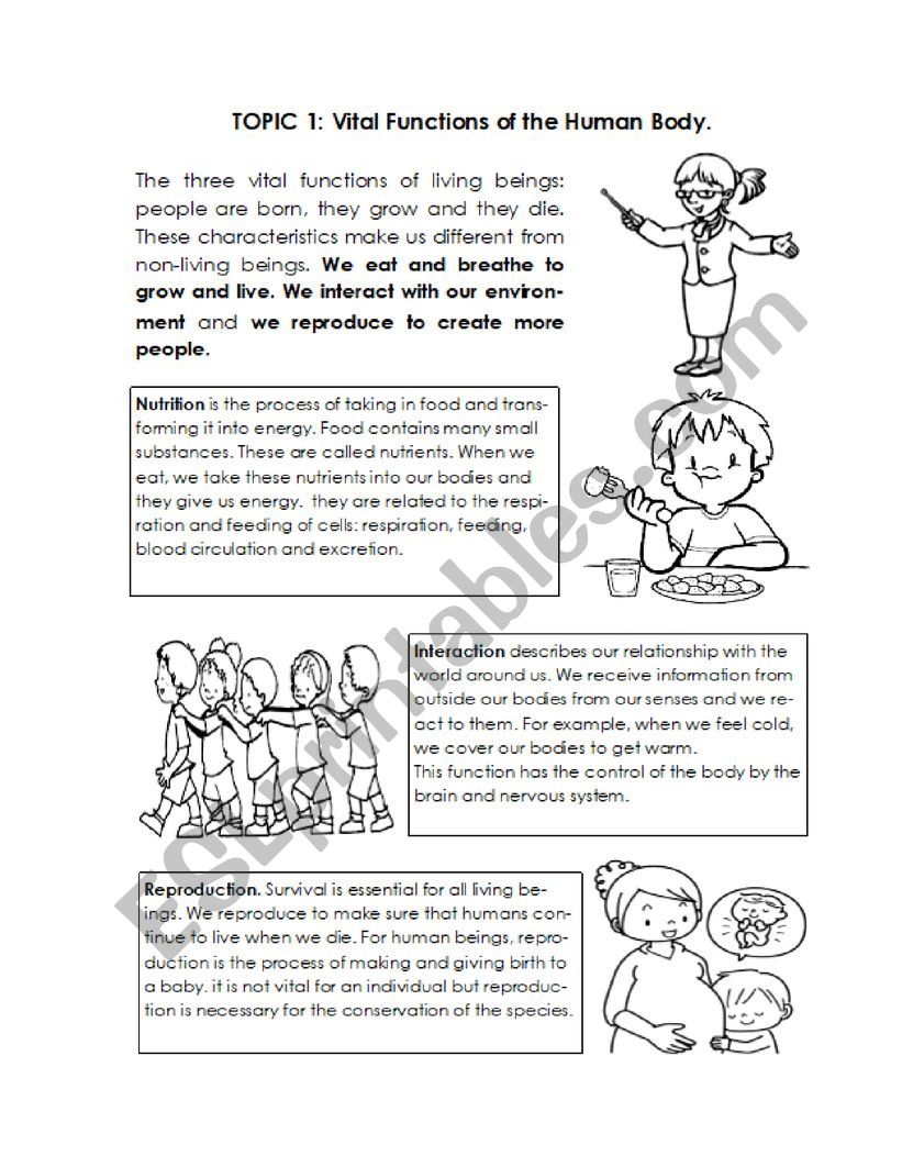 Vital Functions  worksheet