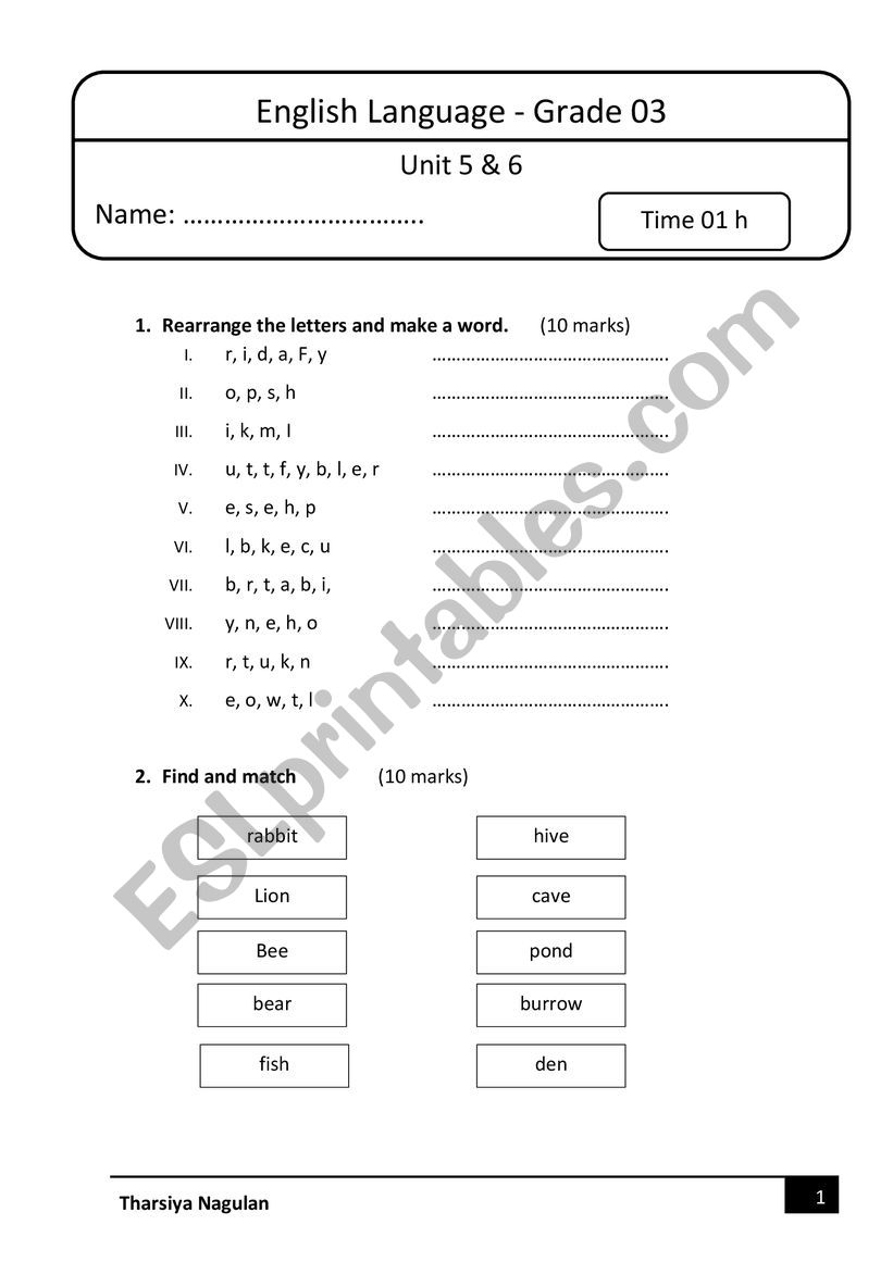 model test worksheet