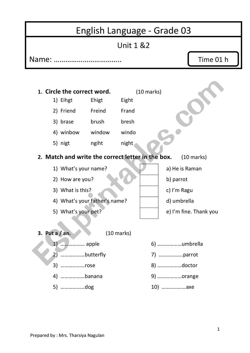 model test worksheet