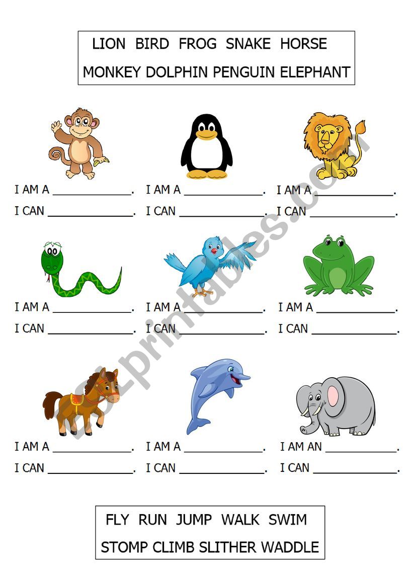 Animals can worksheet