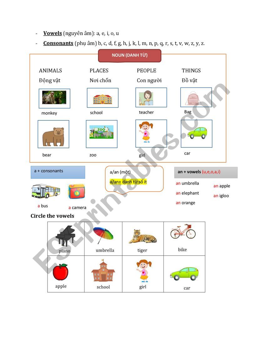 Noun And Articles Esl Worksheet By Daquynhhuong92