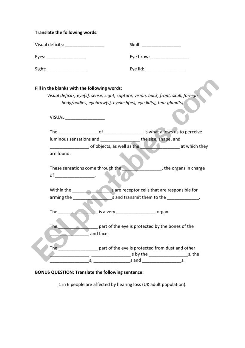 Vocabulary Anatomy worksheet