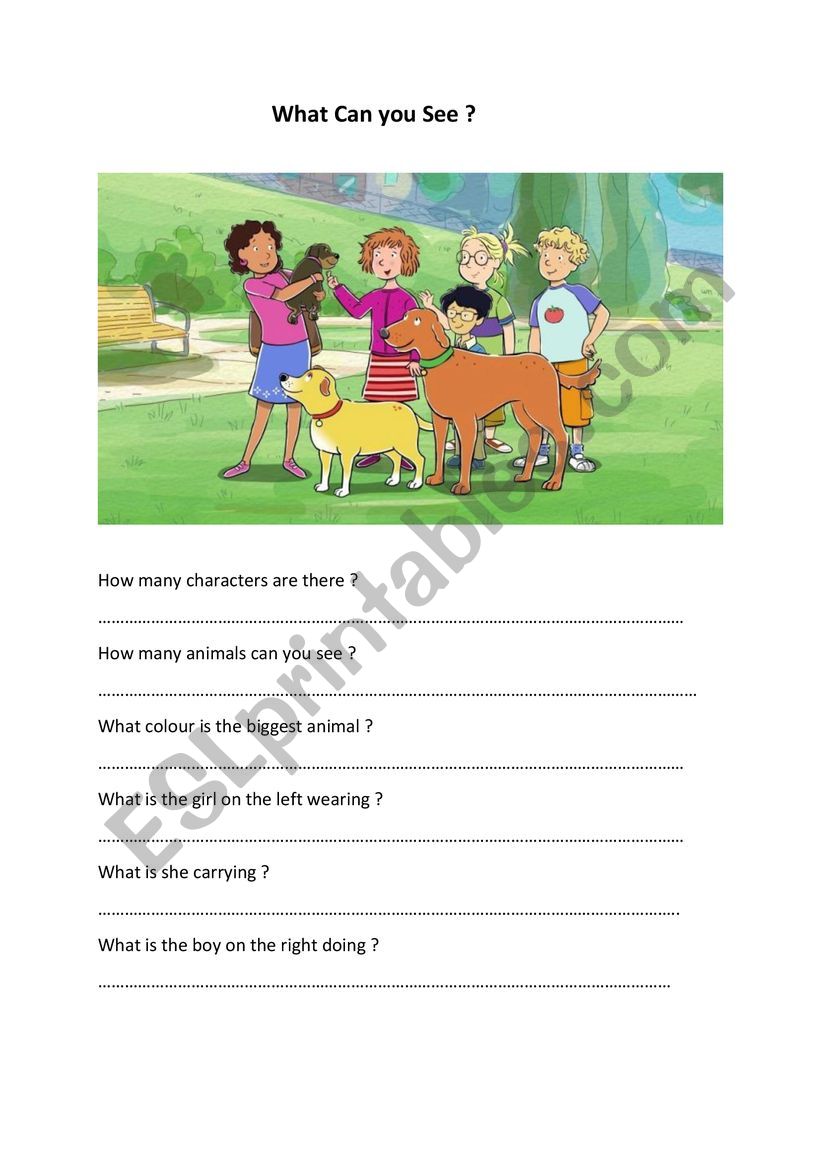 What can you see worksheet