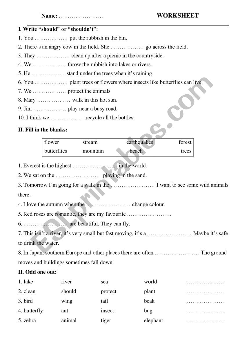 Should or Shouldn�t 2 worksheet